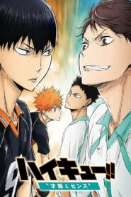 HAIKYU!! O Talento e o Instinto